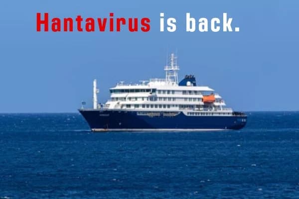 A Rare Virus on a Cruise Ship Has Put Hantavirus Back in Focus. Here’s What It Means
