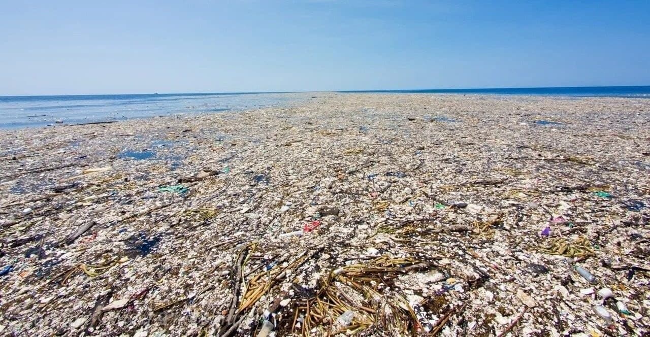 Great+Pacific+Garbage+Patch+High+Quality