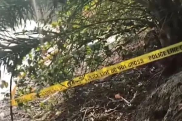 West Bengal Violence: Police Team Attacked in Sandeshkhali; 5 Injured